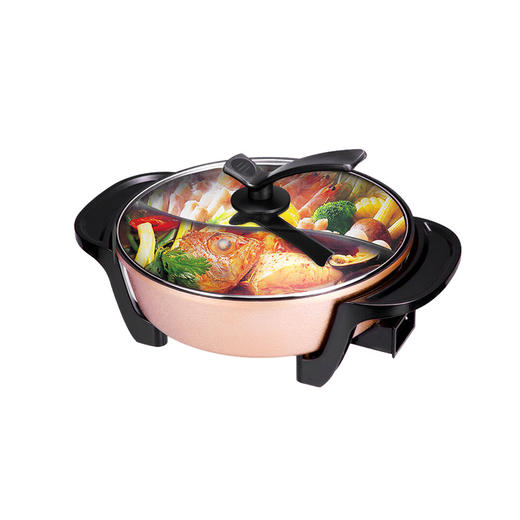 九阳（Joyoung）电火锅JK-50H9JPY带授权招加盟代理 商品图0