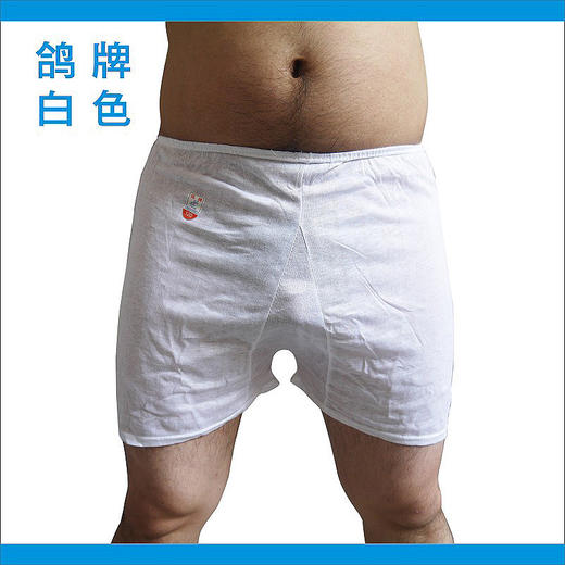 鸽牌短裤 白色，花鸽，金鸽 商品图5
