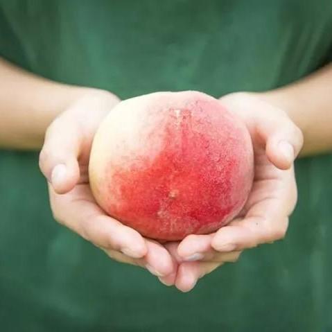 生态晚秋红心桃 | 合作生产 * Eco-Red heart crisp peach | Coproduction 商品图4