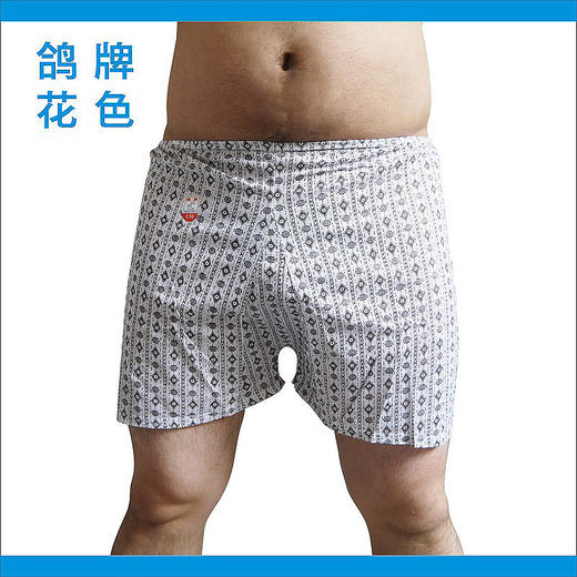 鸽牌短裤 白色，花鸽，金鸽 商品图3