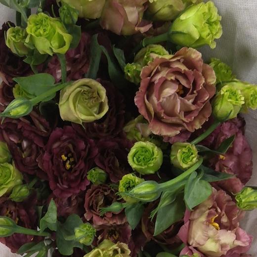 配花-云南（洋桔梗）龙胆-茶色-0.8kg/扎 商品图0