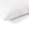 HBZX-010 玻尿酸美肤枕 商品缩略图1