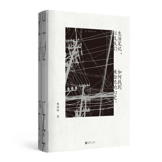 生活笔记，以及我们如何找到被拒绝的幻觉（知名摇滚乐手+文学创作者杨海崧个人诗作集结） 商品图1