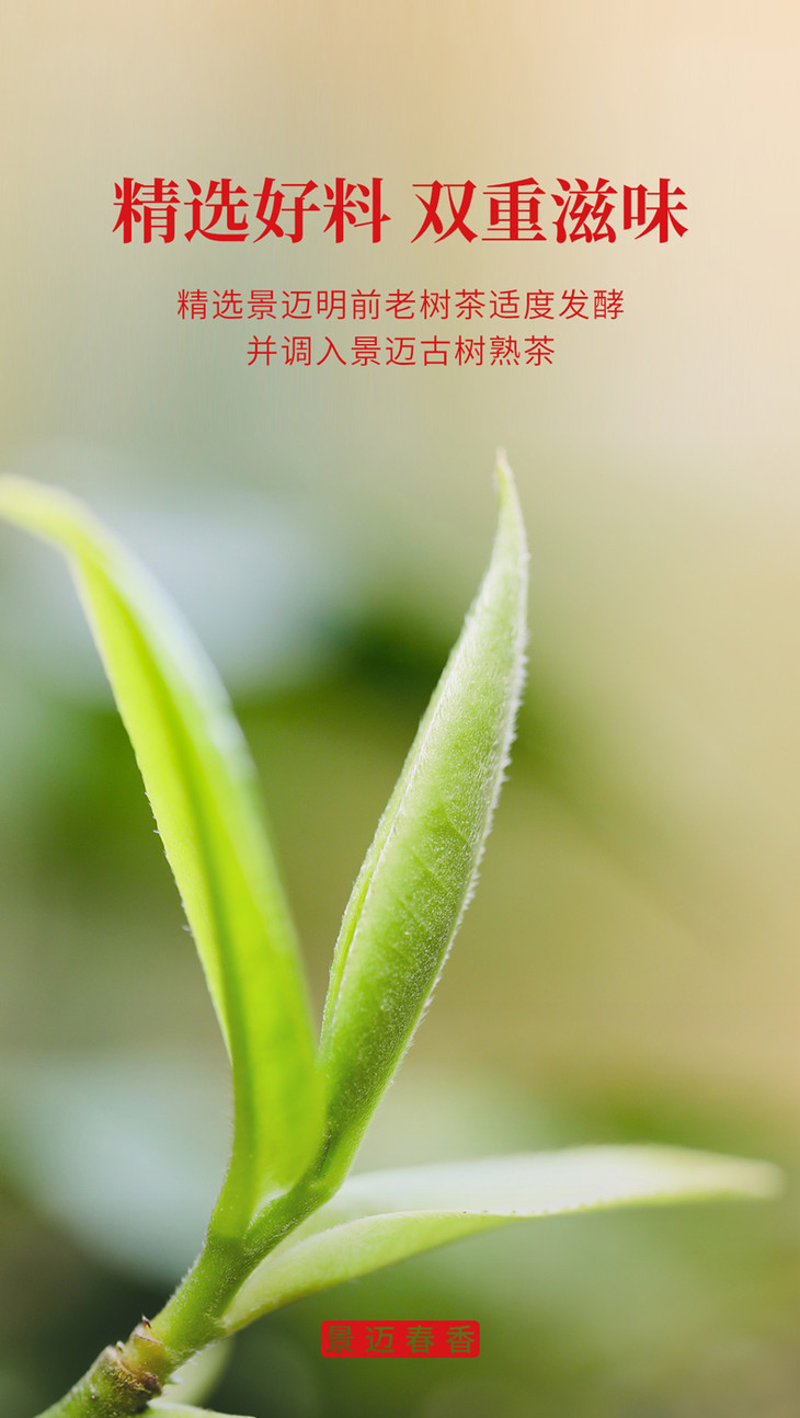澜沧古茶2019年景迈春香普洱熟茶357g