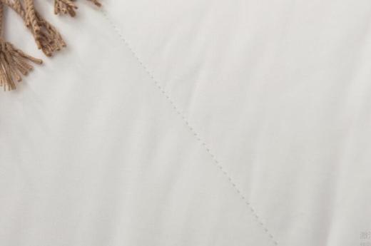 【优质冬被】 全棉生态棉花被 商品图1