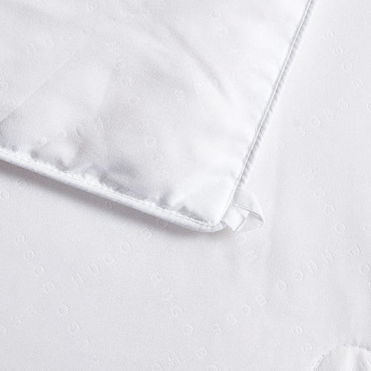 HBCS-007 压花LOGO桑蚕丝被 商品图5