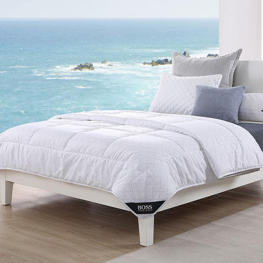 HBXW-032 抑菌纤维厚被 商品图0