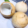 【顺丰】泰国进口​‎椰皇奶香椰皇新鲜水果椰子6个装包邮 商品缩略图1