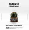 捕夢星球 / DREAM STAR 商品缩略图0