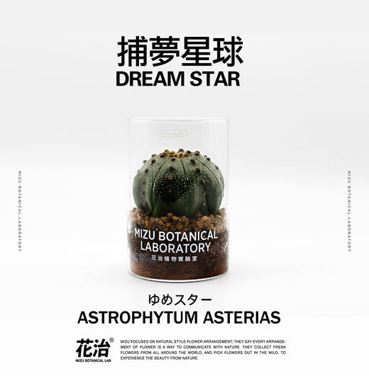 捕夢星球 / DREAM STAR 商品图0