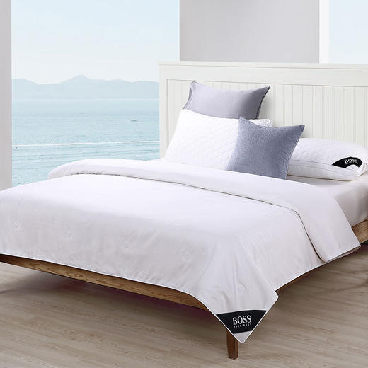 HBCS-007 压花LOGO桑蚕丝被 商品图0