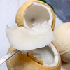 【顺丰】泰国进口​‎椰皇奶香椰皇新鲜水果椰子6个装包邮 商品缩略图2