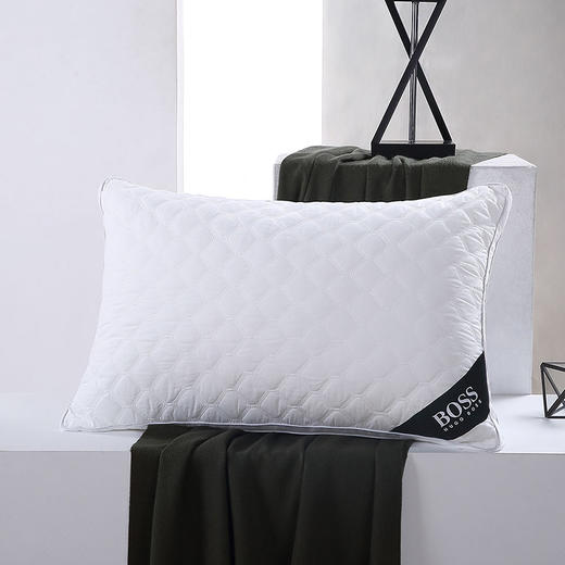 HBZX-011 全棉绗缝立体对枕 商品图0