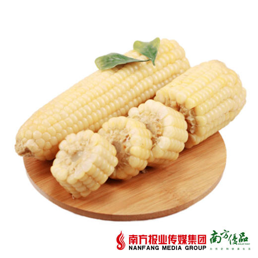【团】宁夏有机玉米 商品图0