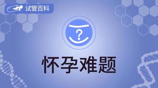 试管百科-怀孕难题 商品图0