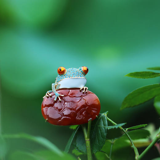 「青蛙」红翡青蛙胸针【仅现货】 商品图0