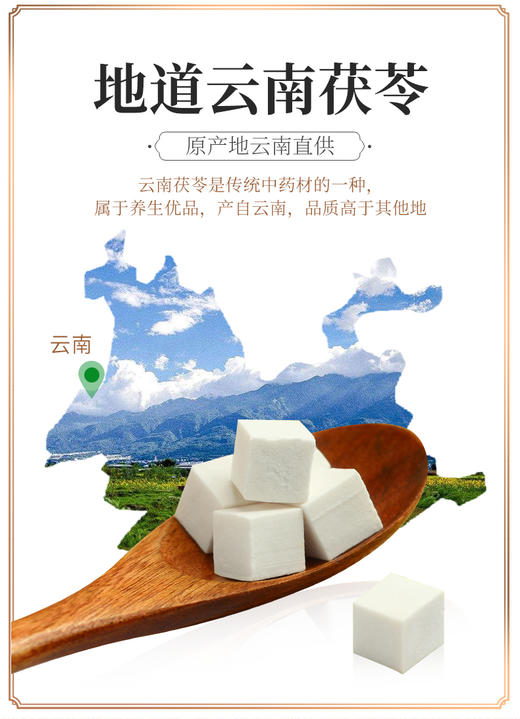 【品牌直供】固本堂茯苓250g/罐JPY带授权招加盟代理 商品图2