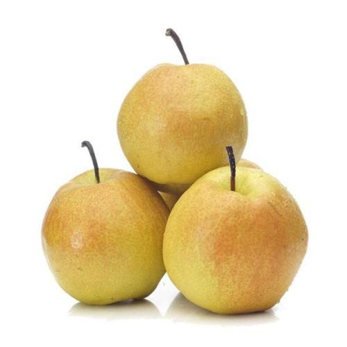隰县玉露香梨 商品图1