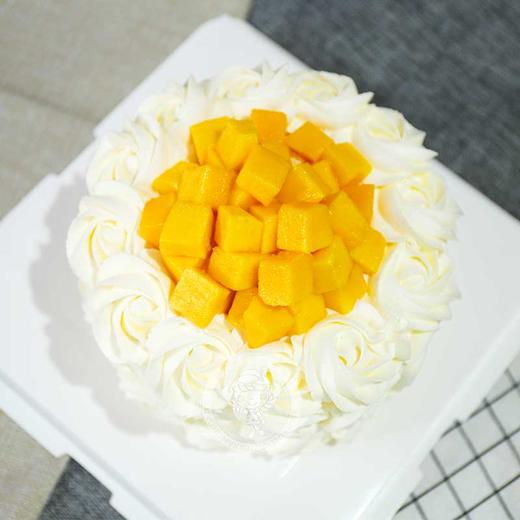 进口牛乳水果蛋糕特惠（下单请先看详情） 商品图2