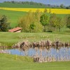 维森高尔夫俱乐部 Golf Glub Vuissens  | 瑞士高尔夫球场 俱乐部 | 欧洲高尔夫 商品缩略图3