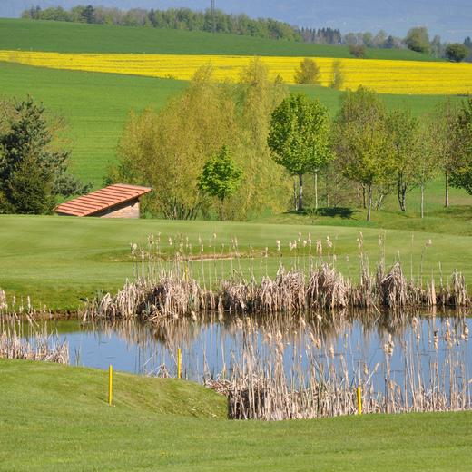 维森高尔夫俱乐部 Golf Glub Vuissens  | 瑞士高尔夫球场 俱乐部 | 欧洲高尔夫 商品图3