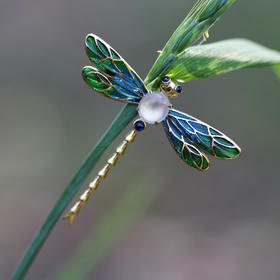 「豆蜻蜓」透烧珐琅蜻蜓胸针【定制】