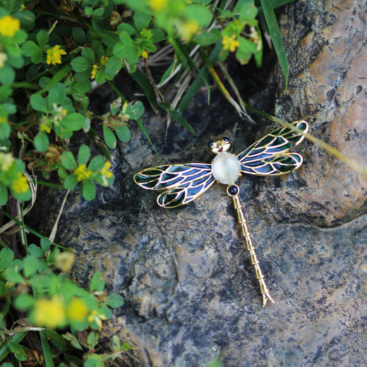 「豆蜻蜓」透烧珐琅蜻蜓胸针【定制】 商品图3