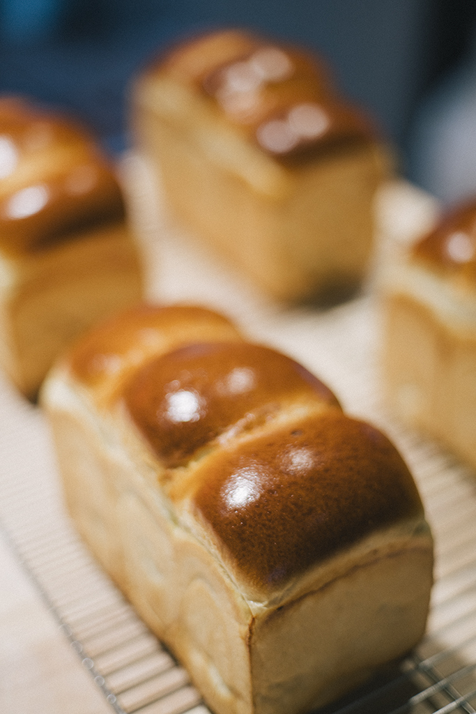 鲜奶吐司 Milky Toast