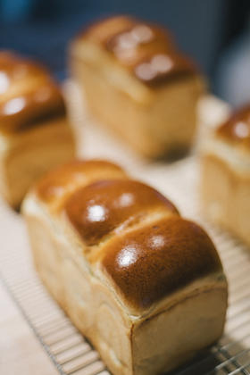 鲜奶吐司 Milky Toast