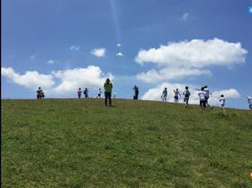 国内夏令营/冬令营