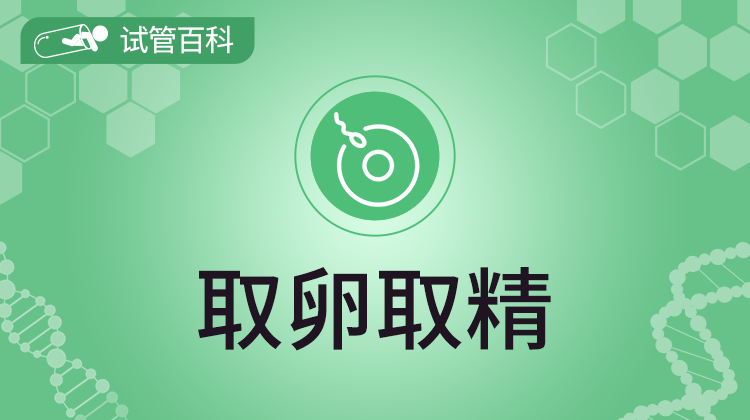 试管百科-取卵取精
