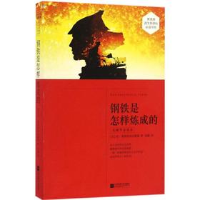 钢铁是怎样炼成的