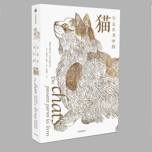 行走在书中的猫 商品图1