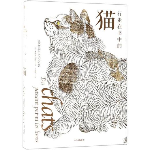 行走在书中的猫 商品图0