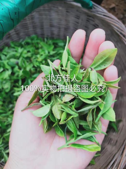 【茶馆茶叶】小众茶第三十五期丨特級寒露蜜香白茶 商品图0