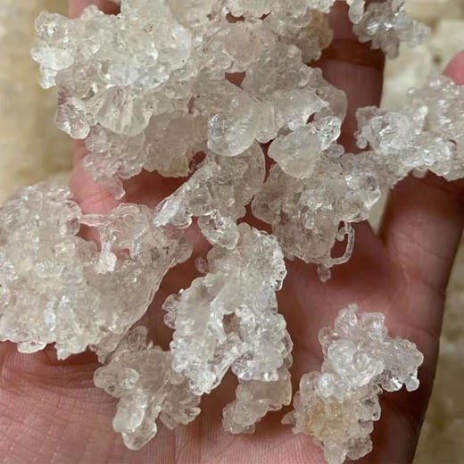 拉丝雪燕 植物燕窝 150g*2罐 商品图8