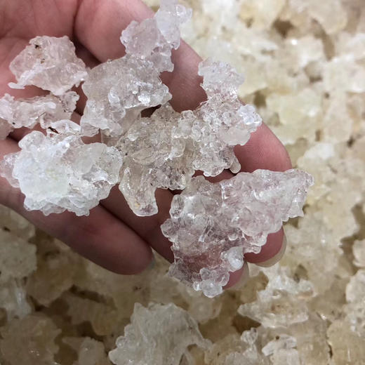 拉丝雪燕 植物燕窝 150g*2罐 商品图9