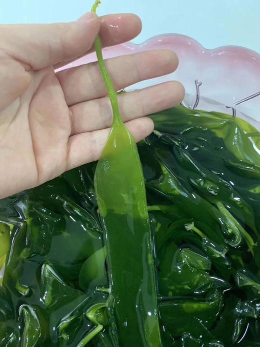 海带嫩苗 商品图4
