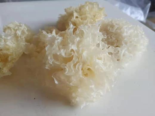 通江銀耳（深圳发货） 商品图8