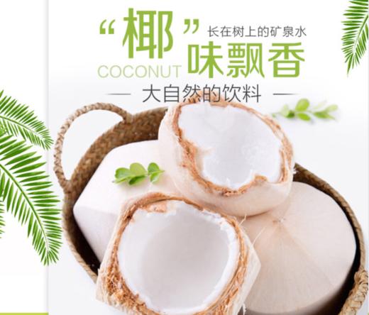 泰国椰青9头中大果 椰子个头饱满 汁水香甜浓郁  一件9枚 商品图4
