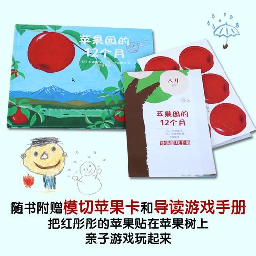 苹果园的12个月 商品图2