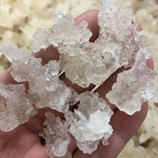 拉丝雪燕 植物燕窝 150g*2罐 商品图10