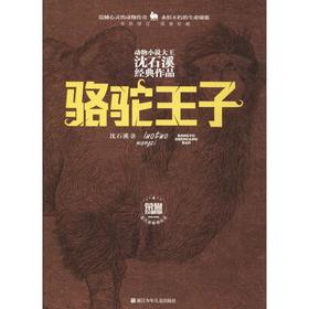 骆驼王子