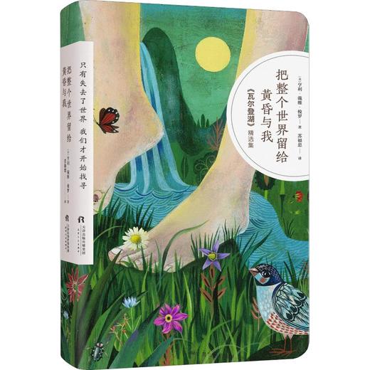 把整个世界留给黄昏与我 《瓦尔登湖》精选集 商品图0