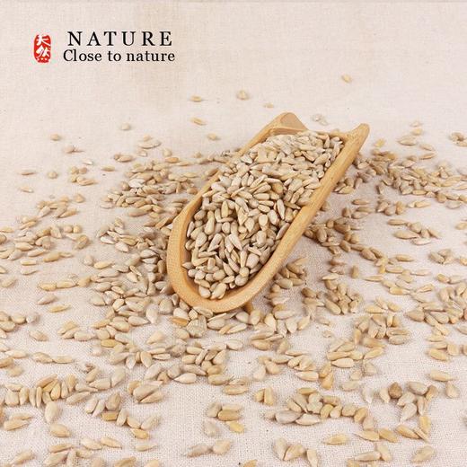 【甄客甄选】生葵花子仁 葵花籽 榨油原料 10斤 商品图3