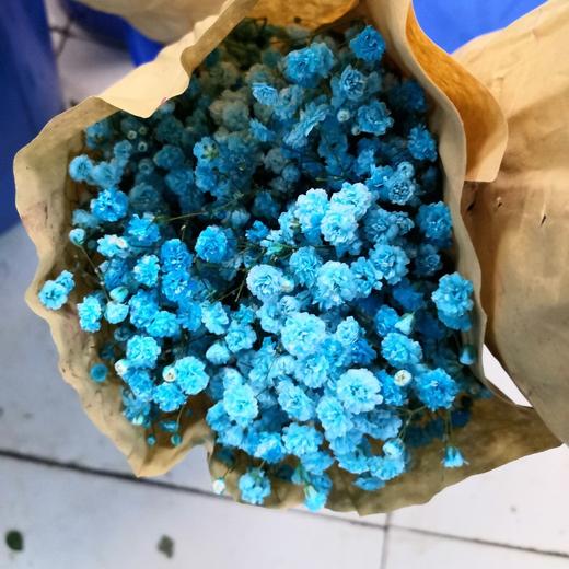 配花-国产满天星-蓝色 商品图1