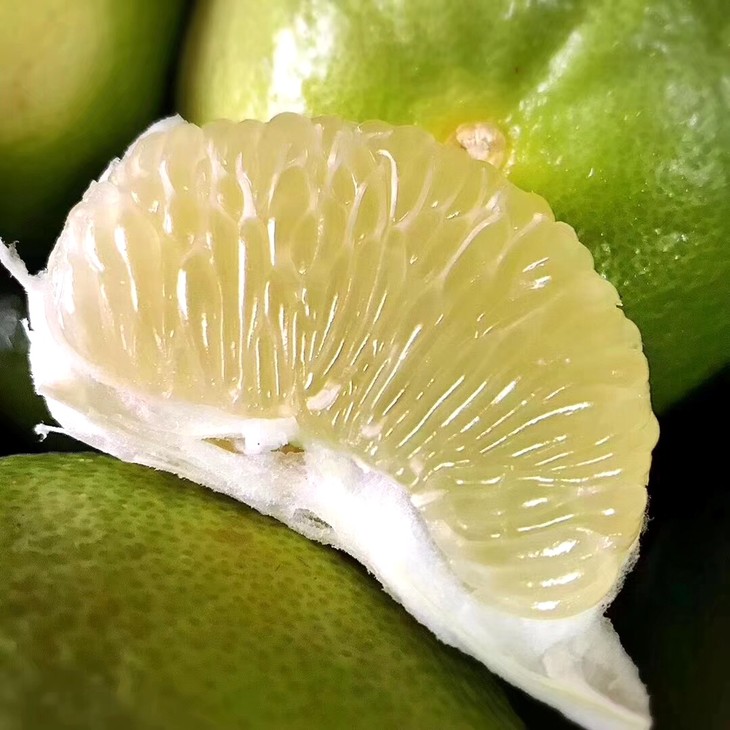 【禾原良果·美国葡萄柚】原价26元/个的美国葡萄柚,现仅售18.9元/个