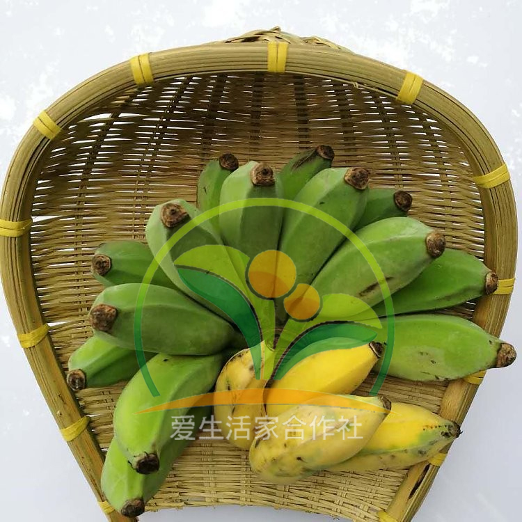 自然生自然熟芭蕉又开团咯！积量发货哟！5斤装，积量发货