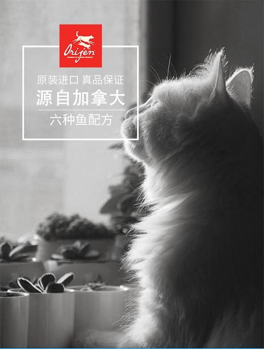 加拿大Orijen渴望六种鱼无谷天然全猫粮5.4kg 加拿大进口成猫幼猫主粮干粮 *建议零售价不低于669元 商品图1