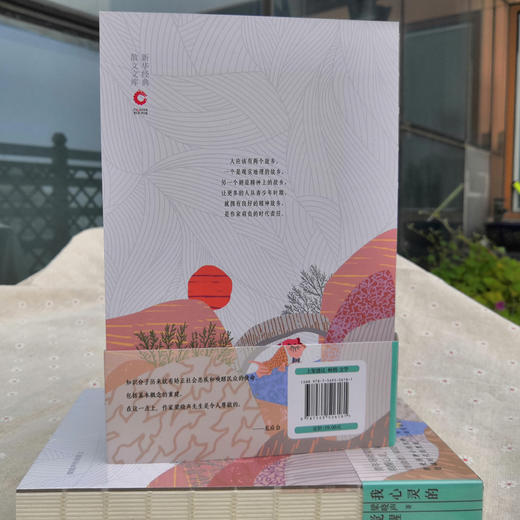 我心灵的觉醒 商品图2